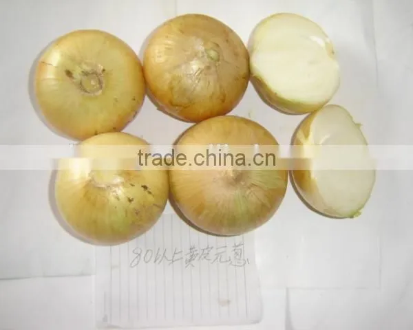 Chinese Red Onion Yellow Onion From Shandong photo-3