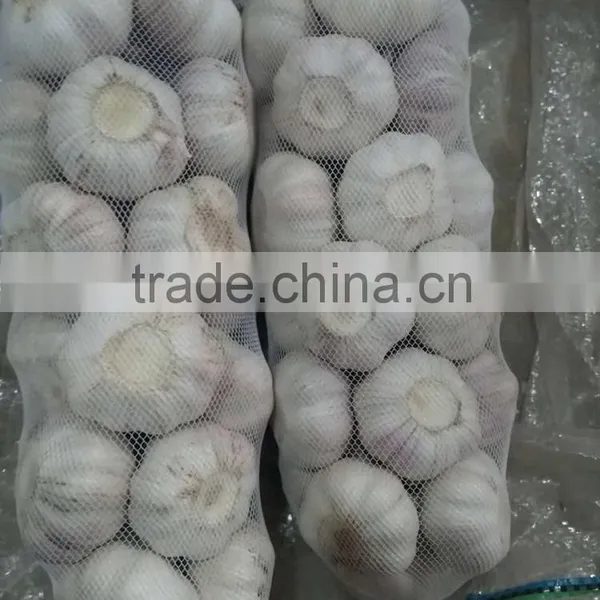 New Crop Garlic 2016 photo-3