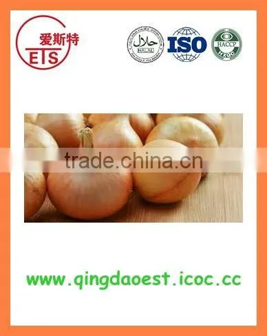 FOR SALE Export Fresh Red and Yellow Onion photo-4