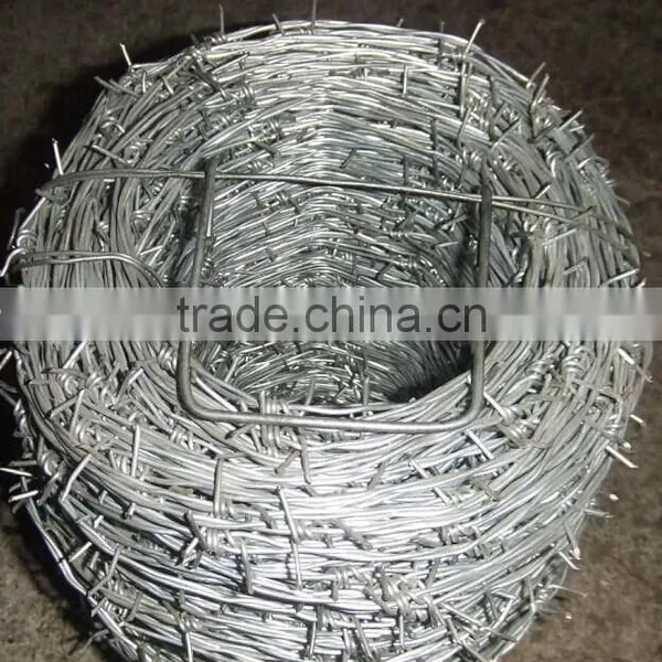 Best Price 1.6mm Galvanized Barbed Wire photo-3