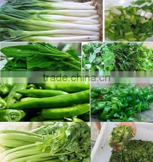 Stainless Steel Vegetable Cutter Machine photo-4