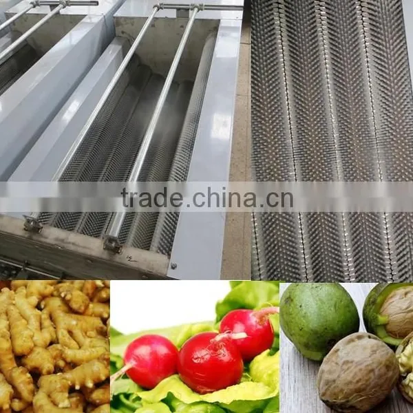 Stainless Steel Vegetable and Fruit Washing Machine photo-4