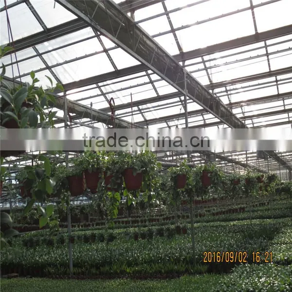 Natural Ventilation Green House for Vegetables photo-2