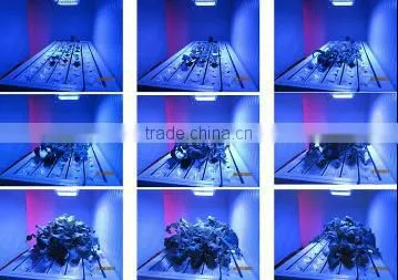 Factory Direct Sale 5000w Led Grow Light photo-5