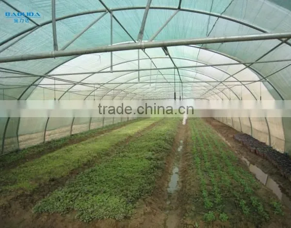 PE Film Coverd Plastic Tunnel Greenhouse Used for Vegetables and Fruits photo-6