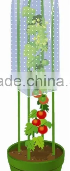 70micorn Thickness PE Plastic Tomato Plant Cover for Agricultural Use photo-3