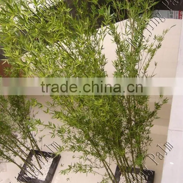 Plastic Mini Bamboo Interior Decoration For Garden Ornaments photo-2