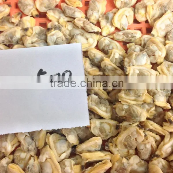 New Sason Frozen Baby Clam Meat Export Levels Quality photo-5