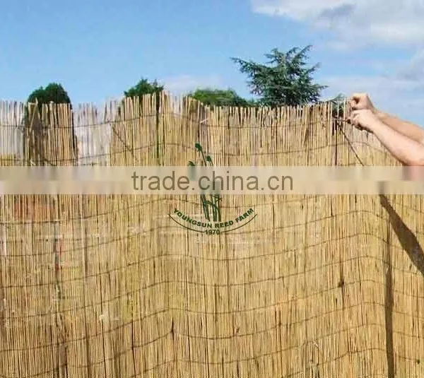 Reed Fence for Gardening photo-5