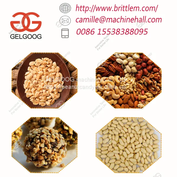 Top Quality Stainless Steel Peanut Chestnut Kernels Chopping Processing Machine Factory photo-2