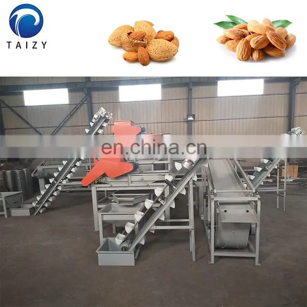 Automatic Nut Cracker Jujube Hazelnut Production Line Almond Processing Line Almond Cracking Machine photo-6