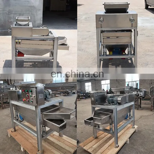 Automatic Chestnut Cutter Macadamia Nut Cutter and Chopper Walnut Cutting Machine photo-7