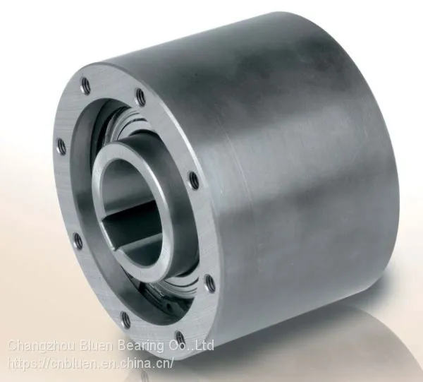 Cam Clutch MZ Series Sprag One Way Bearing Clutch photo-4
