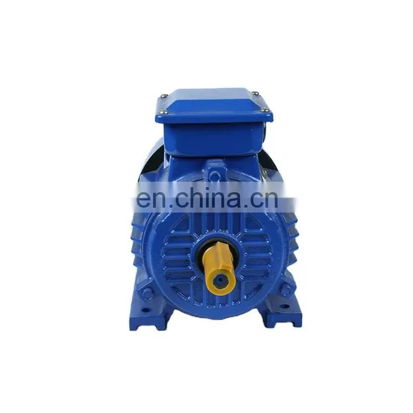75kw 100hp B5 Three Phase Induction Motor for Water Pump photo-6