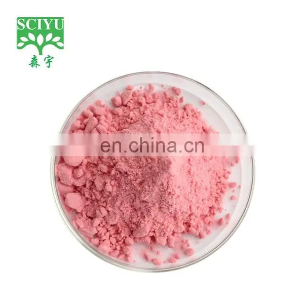 Spray Dried Soluble Watermelon Fruit Juice Powder photo-3