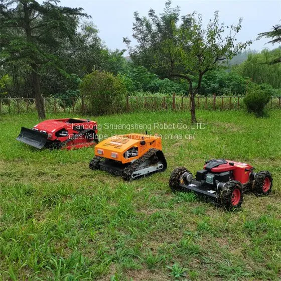 Steep Slope Mower China Manufacturer Factory Supplier Wholesaler photo-5