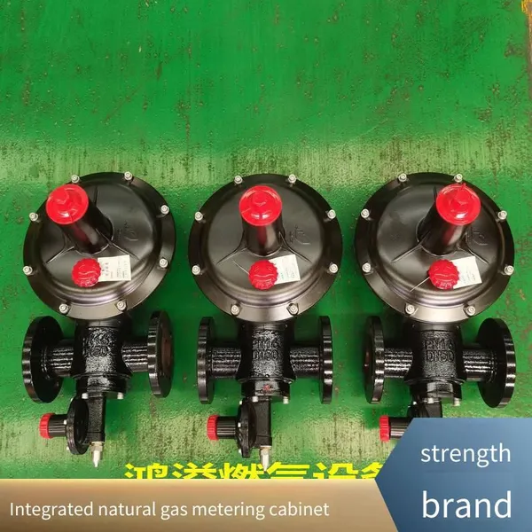 Cng Vaporization, Pressure Regulation and Metering Cabinet, Gas Pressure Regulator, Pressure Reduction and Metering Cabinet, Natural Gas Pressure Reduction Device