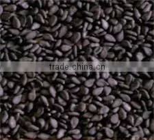 OIL SEEDS