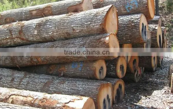 RUSSIAN Timber Log / Sawlogs /Wood Round Logs / Lumber /PINE / SPRUCE / LARCH / BIRCH photo-2