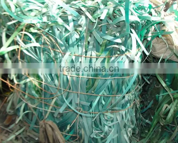 Pet Strip Scrap / Plastic Raw Materials / PET