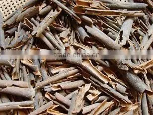 SPECIAL SMELT OF CINNAMON FROM VIETNAM