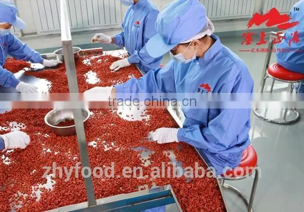 Dried Goji Berry 350grains/50g Health Food,100%natural,native Chinese Goji Berry photo-6