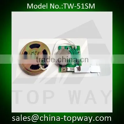 Manufacturer of Slide Tongue Greeting Card Sound Module photo-5