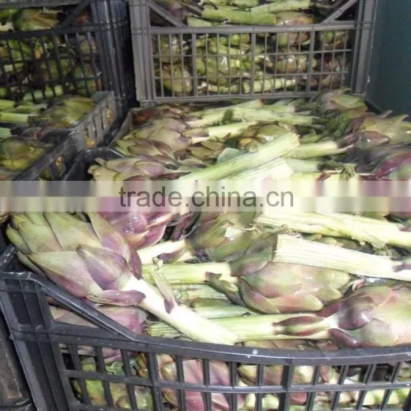Artichokes photo-6