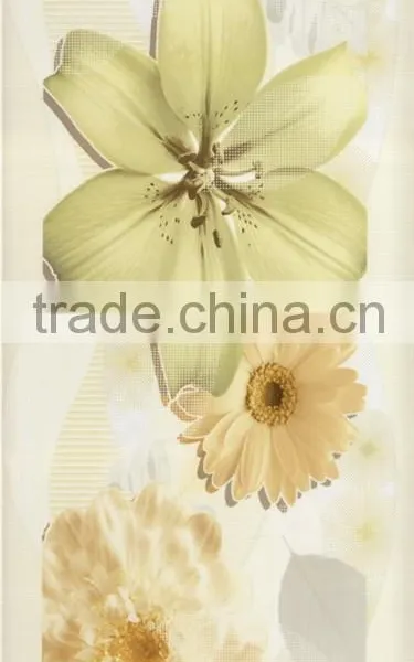 Inkjet Wall Ceramic Tiles 250x500 photo-2