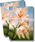 Satin Eco-Solvent 100% Polyester Inkjet Canvas 240gsm