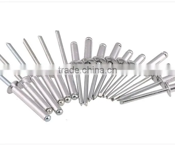 Rivet/blind Rivet/stainless Steel Blind Rivet photo-2