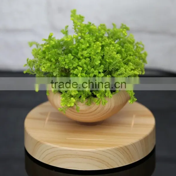 Air Bonsai Pots Air Plant Pots in China photo-4