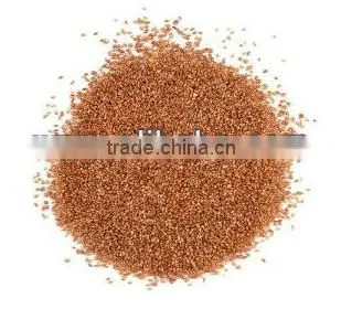 Teff Brown Fresh Wheat