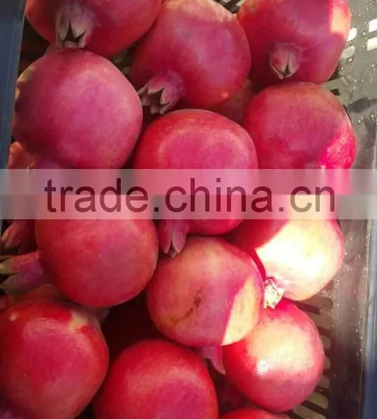 Fresh Pomegranate For Sale photo-3