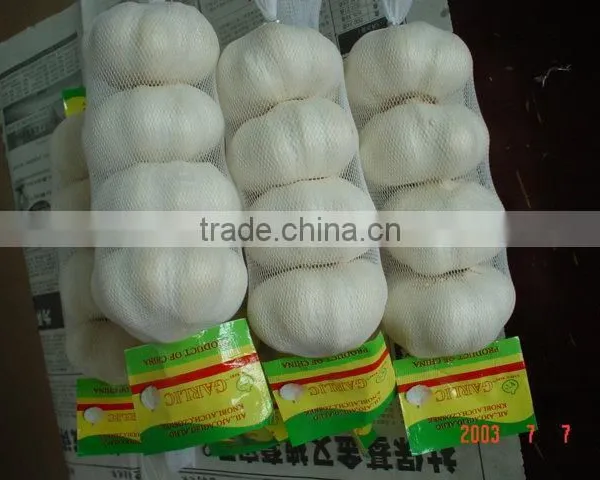 Pure White Garlic
