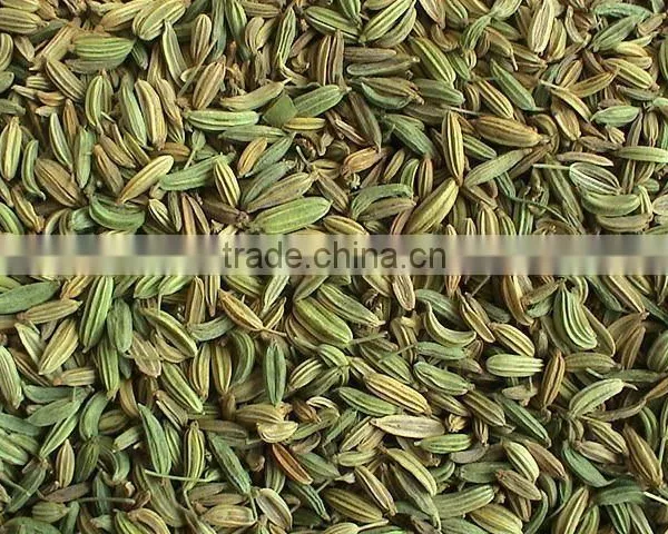 Fennel Seeds photo-2