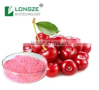 Pure Nutritional Fruit Extract--- Cherry Fruit Powder West Indiescherry Powder Rich in Vitamin C Reaching 25%