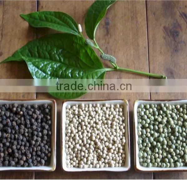 BLACK PEPPER SEASONINGS