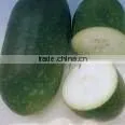 Benincasae Peel Extract Powder 10:1