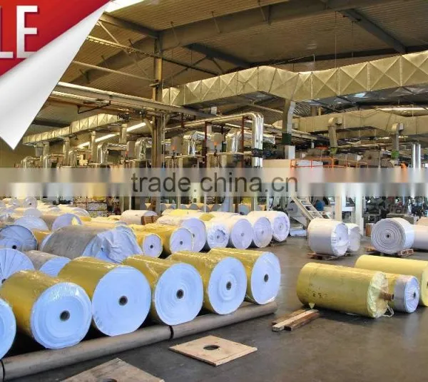 Silicone Coating Release Paper