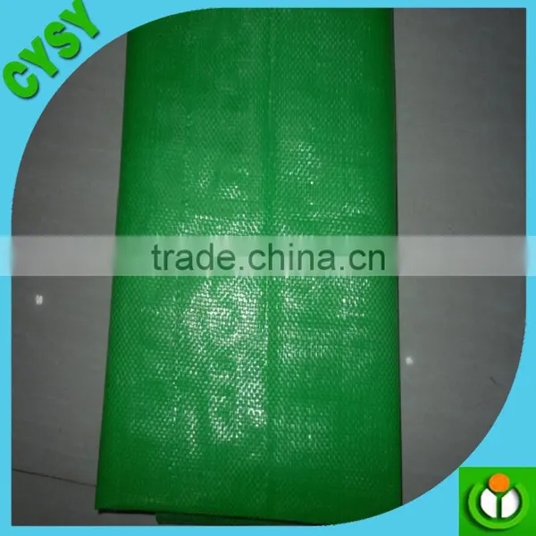 90gsm-140gsm Black/green PP Ground Cover,weed Barrier Fabrics, Weed Mat in Strawberry Garden photo-4
