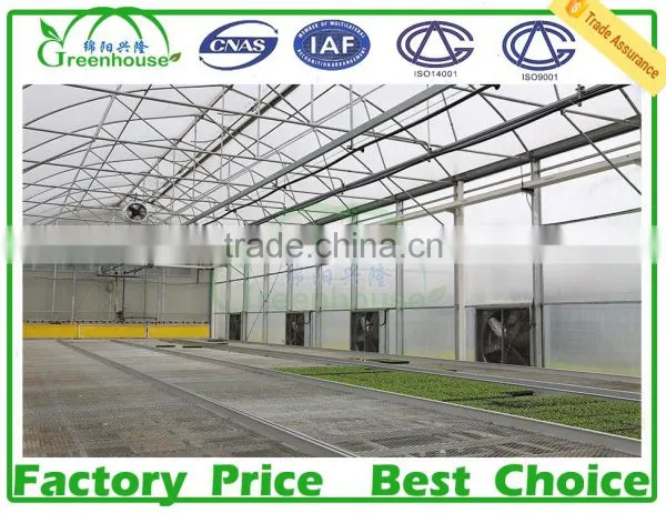 Commercial Greenhouses for Sale photo-2