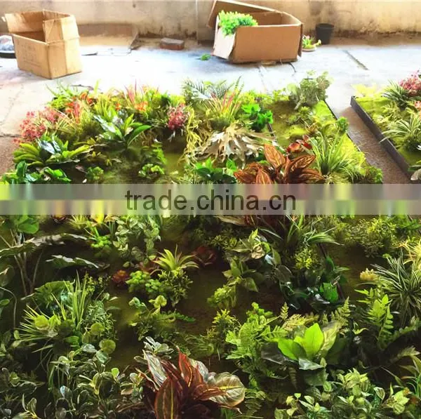 Home Garden Wedding Decoration 200cm*100cm Green Original Succulent With Moss Carpet Grass Wall E03 0506 photo-6