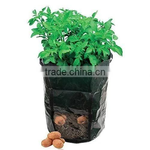 Garden Green House Felt Grow Bags photo-4