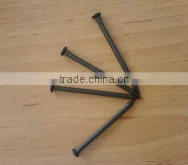 Common Iron Nails on Hot Sale photo-2