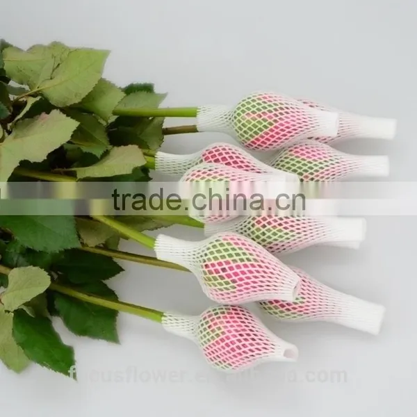 Natural Pink Rose Flowers Fresh Cut Flowers Big Pink Rose for Wedding Decoration photo-2