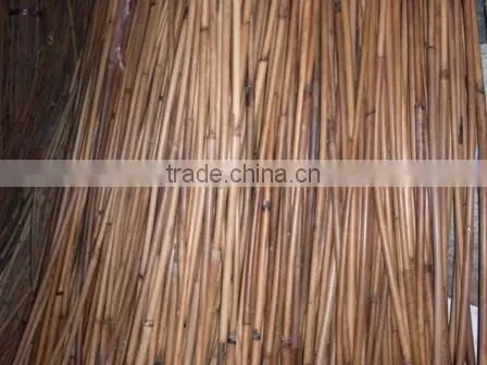 Raw Rattan Red Malacca Canes photo-2