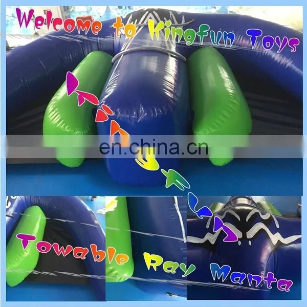 Towable Boat Inflatable Water Games photo-4