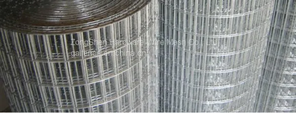 Galvanized Welded Wire Mesh
