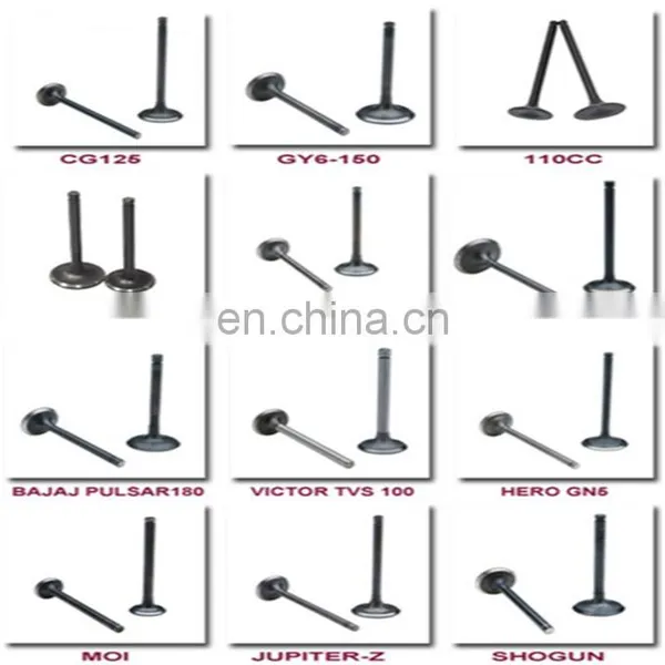 Manufacturing China Supplier Engine Valve for Hero Honda Bikes photo-5